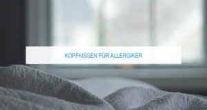 Kopfkissen für Allergiker